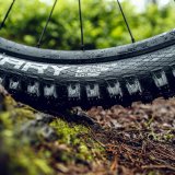 Nahaufnahme eines Mountainbikereifens auf Waldboden.