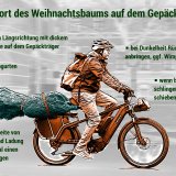 Infografik mit Tipps zum Transport eines Weihnachtsbaums auf dem Gepäckträger eines Fahrrades.