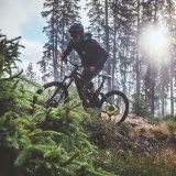 Eine Person fährt auf einem E-Mountainbike mit der Sonne im Rücken über eine Waldlichtung.