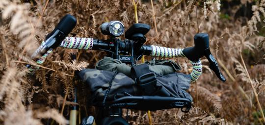 Der Lenker eines Gravelbikes mit Gepäck daran inmitten vertrockneten Farns.