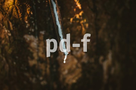 Die Bildunterschrift wird in Bälde eingefügt. Sie können uns aber gern auch per E-Mail oder Telefon kontaktieren, wir helfen gerne weiter.