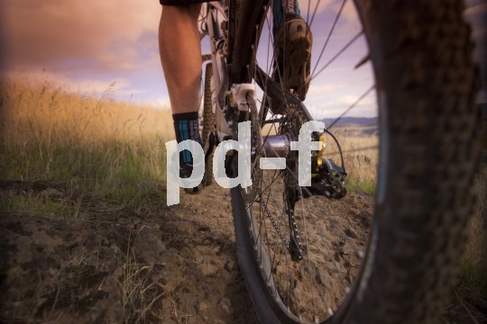 Blick über den Hinterreifen eines Mountainbikes auf die Waden der fahrenden Person.