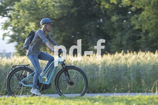 Locker vorankommen und dabei auch noch Reserven für Anstiege und Zuladung haben, das ist es, was Pedelec-Nutzer an ihren Fahrzeugen (hier ein Modell der Firma Flyer) begeistert.