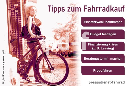 Grafik zum Fahrradkauf