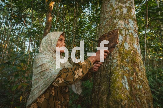 Die Bildunterschrift wird in Bälde eingefügt. Sie können uns aber gern auch per E-Mail oder Telefon kontaktieren, wir helfen gerne weiter.