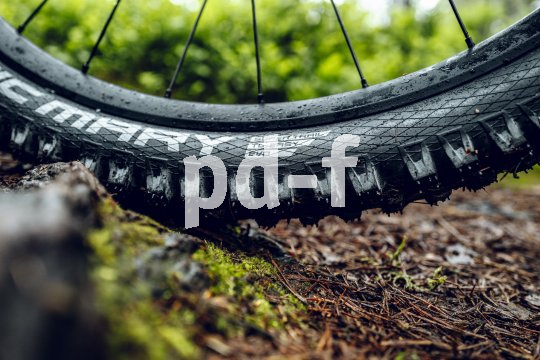 Nahaufnahme eines Mountainbikereifens auf Waldboden.