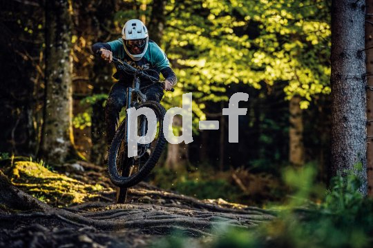 Mountainbiker springt im Wald mit Bike über Hindernis.