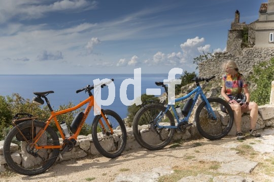 Die Firma Velotraum bietet ihren Kunden ein Baukastensystem, mit dem sich Räder individuell konfigurieren lassen: mit oder ohne Motor, Rahmengröße, Schaltung, Bereifung, Bremsen - alles ist wählbar.