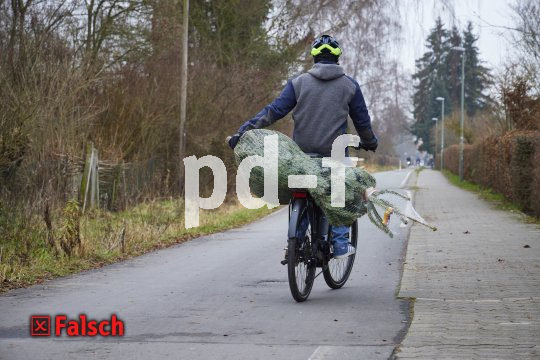 Eine Person fährt mit einem verpackten Weihnachtsbaum quer auf dem Gepäckträger eines Fahrrades und hält ihn dabei mit einer Hand am Stamm fest. Darunter steht in roten Bruchstaben "Falsch".