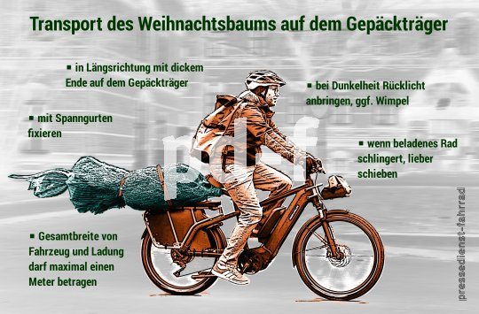 Infografik mit Tipps zum Transport eines Weihnachtsbaums auf dem Gepäckträger eines Fahrrades.