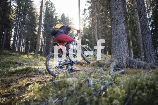 Mann fährt mit E-Mountainbike durch Wald bei Sonnenschein