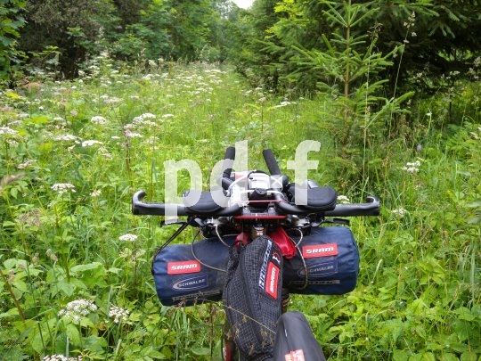 So schnell wird die Mountainbike-Tour zum Abenteuer! Wer hier keine Machete zur Hand hat, kann im Grunde nur umkehren und sich einen anderen Weg durch den Forst suchen.