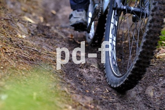 Die Bildunterschrift wird in Bälde eingefügt. Sie können uns aber gern auch per E-Mail oder Telefon kontaktieren, wir helfen gerne weiter.