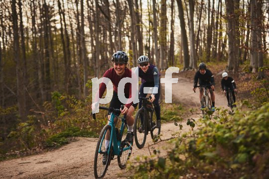 Ein Gruppe Radfahrender auf einem Waldweg.