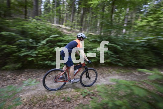 Mountainbiker fährt auf Waldweg.