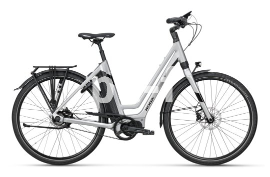 Ein E-Bike mit tiefem Einstieg, Gepäckträger und Schutzblechen.