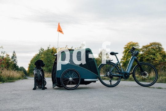 Wird Ihrem Hund beim Autofahren auch immer so schlecht? Es gibt Alternativen, wundervolle Alternativen...