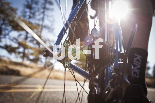 Die Bildunterschrift wird in Bälde eingefügt. Sie können uns aber gern auch per E-Mail oder Telefon kontaktieren, wir helfen gerne weiter.