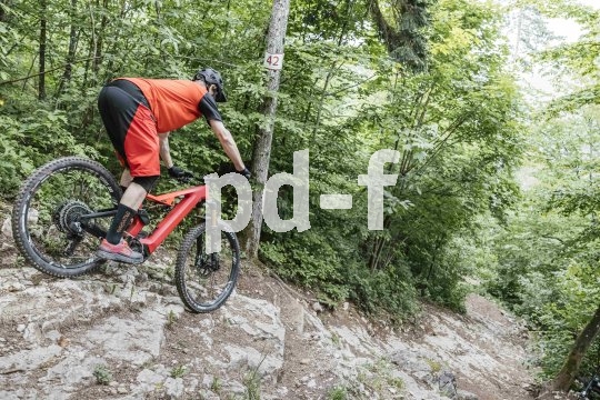 Die Bildunterschrift wird in Bälde eingefügt. Sie können uns aber gern auch per E-Mail oder Telefon kontaktieren, wir helfen gerne weiter. Eine Person fährt auf einem E-Bike einen felsigen Weg im Wald hinab.