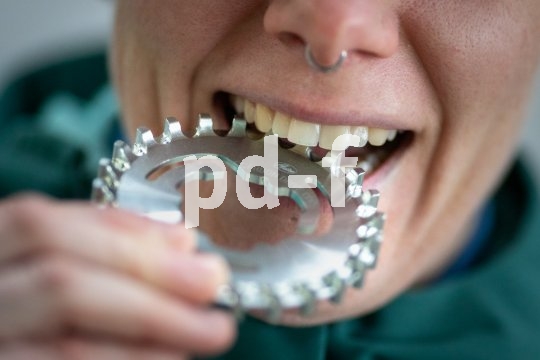 Für 2019 stellt Carbonriemen-Antriebsspezialist Gates neue Zahnscheiben für Nabenschaltungen vor. Die "CDC"-Scheiben sind aus Cro-Moly-Stahl gefertigt und sollen mit Wartungsarmut und Laufruhe vor allem Pendler überzeugen.