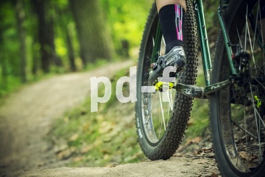 Die Bildunterschrift wird in Bälde eingefügt. Sie können uns aber gern auch per E-Mail oder Telefon kontaktieren, wir helfen gerne weiter.