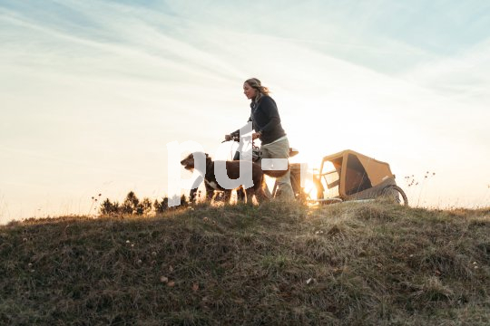 Dieser Hänger bietet auch einem große Hund ausreichend Platz. Zudem ist er auch als Jogger einsetzbar, gefedert und faltbar.