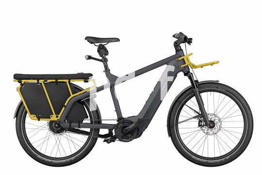 E-Bike mit längerem Gepäckträger zum Personentransport.