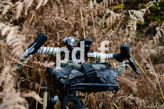 Der Lenker eines Gravelbikes mit Gepäck daran inmitten vertrockneten Farns.
