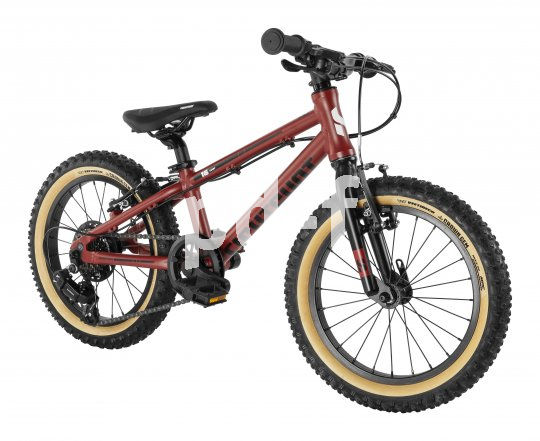 Mit passend ausgerichteter Schalt- und Bremsechnik sind Kinder mit etwas Übung sehr sicher unterwegs.