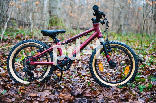 Kinderfahrrad im Wald