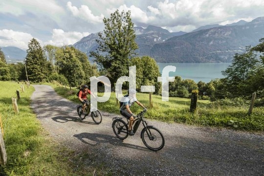 Die Bildunterschrift wird in Bälde eingefügt. Sie können uns aber gern auch per E-Mail oder Telefon kontaktieren, wir helfen gerne weiter.