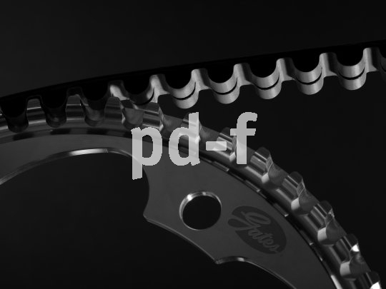 An hochwertigen Bikes mit Getriebeschaltung ist der Zahnriemen fast schon Standard, bietet er doch Haltbarkeit, Wartungsarmut und leisen Lauf.