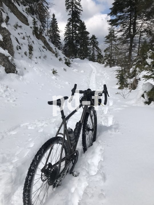 Die Bildunterschrift wird in Bälde eingefügt. Sie können uns aber gern auch per E-Mail oder Telefon kontaktieren, wir helfen gerne weiter.