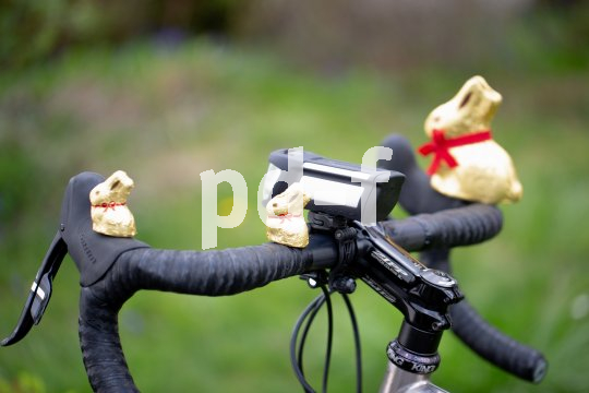 Mit einem guten Akku-Fahrradscheinwerfer kann man die Schoko-Osterhasen schon finden, wenn es für die Geschwister noch viel zu dunkel ist (Modell Ixon Space von Busch & Müller).