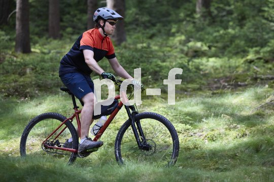 Mountainbiker unterwegs im Wald