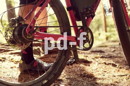 Der Riemenantrieb lässt sich leicht säubern und genießt bei Reiseradfahrern deshalb eine hohe Popularität.