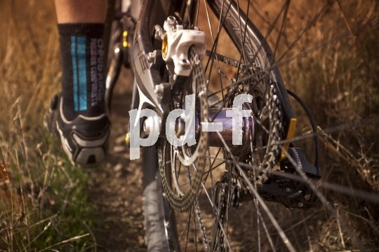 Die wahren Kenner der Materie erkennt man daran, dass sie auch an versteckter Stelle auf edles, langlebiges Material setzen ? wie etwa diese Hinteradnabe "Made in USA".