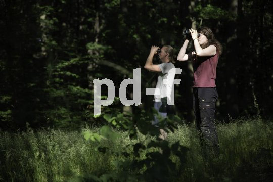 Zwei Personen stehen auf einer Waldlichtung und schauen mit Ferngläsern nach oben.