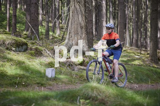 Mountainbiker im Wald