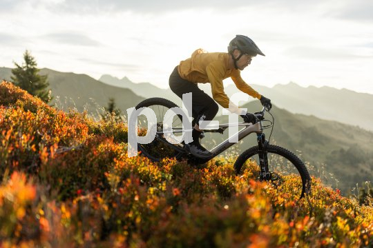 Die Bildunterschrift wird in Bälde eingefügt. Sie können uns aber gern auch per E-Mail oder Telefon kontaktieren, wir helfen gerne weiter.