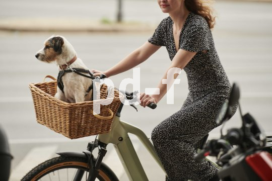 Die Bildunterschrift wird in Bälde eingefügt. Sie können uns aber gern auch per E-Mail oder Telefon kontaktieren, wir helfen gerne weiter.