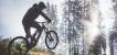 Eine Person fährt auf einem E-MTB durch einen lichten Wald.
