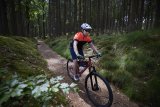 Mountainbiker fährt durch Wald.