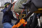 Ein Mann sichert einen verpackten Weihnachtsbaum mit Packriemen auf dem Gepäckträger eines E-Bikes.