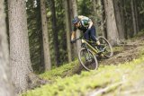Eine Person fährt E-Mountainbike im Wald.
