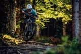 Mountainbiker springt im Wald mit Bike über Hindernis.