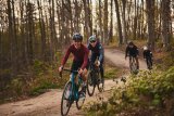 Ein Gruppe Radfahrender auf einem Waldweg.