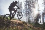 Eine Person fährt auf einem E-MTB durch einen lichten Wald.