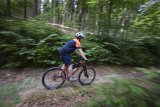 Mountainbiker fährt auf Waldweg.