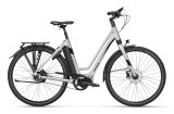 Ein E-Bike mit tiefem Einstieg, Gepäckträger und Schutzblechen.